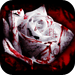 American Horror Stories: Top Real Ghost Stories